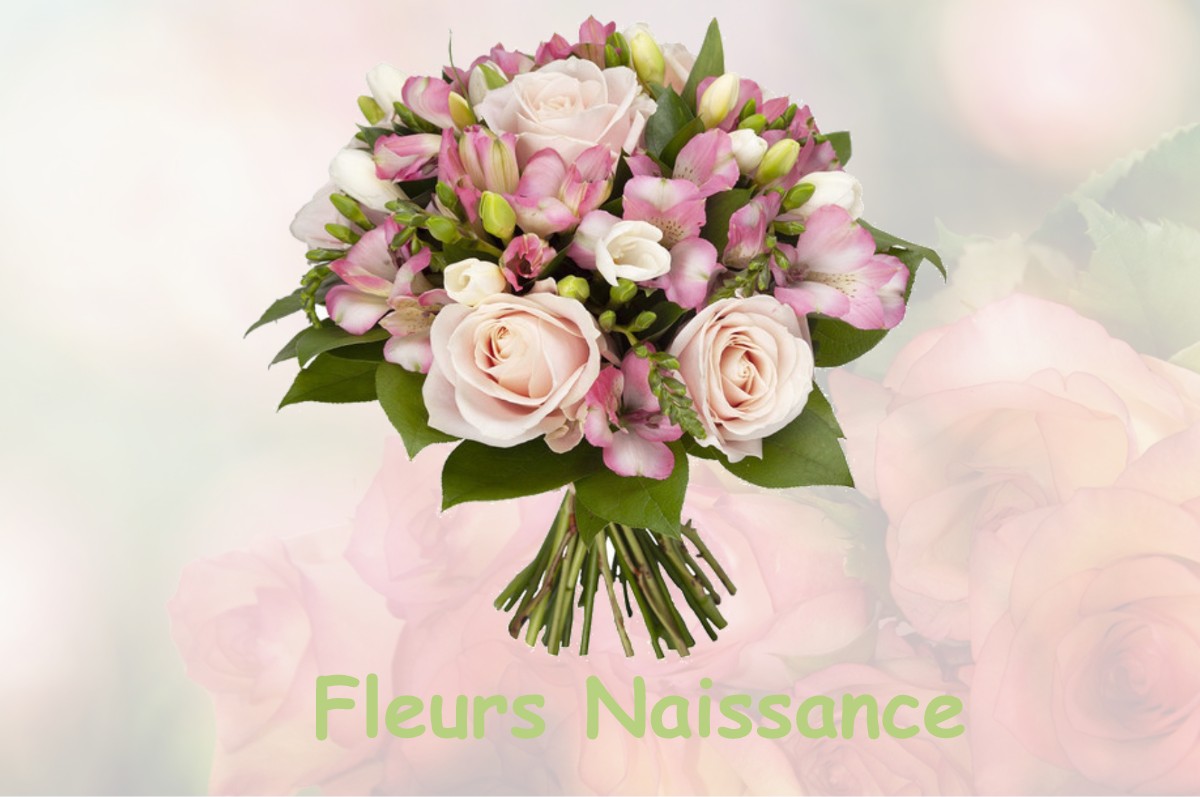 fleurs naissance POMPERTUZAT