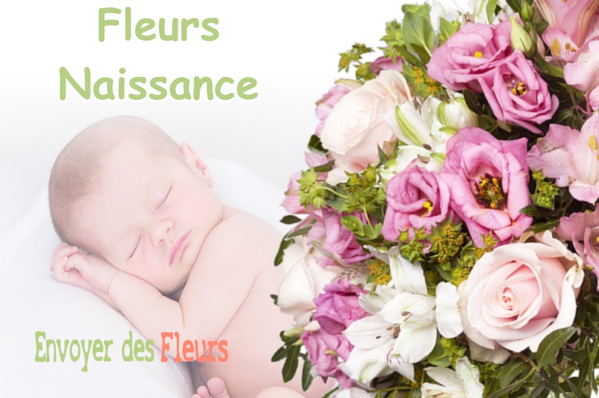 lIVRAISON FLEURS NAISSANCE à POMPERTUZAT